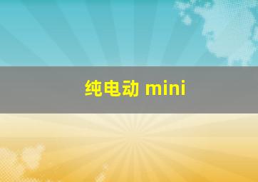 纯电动 mini